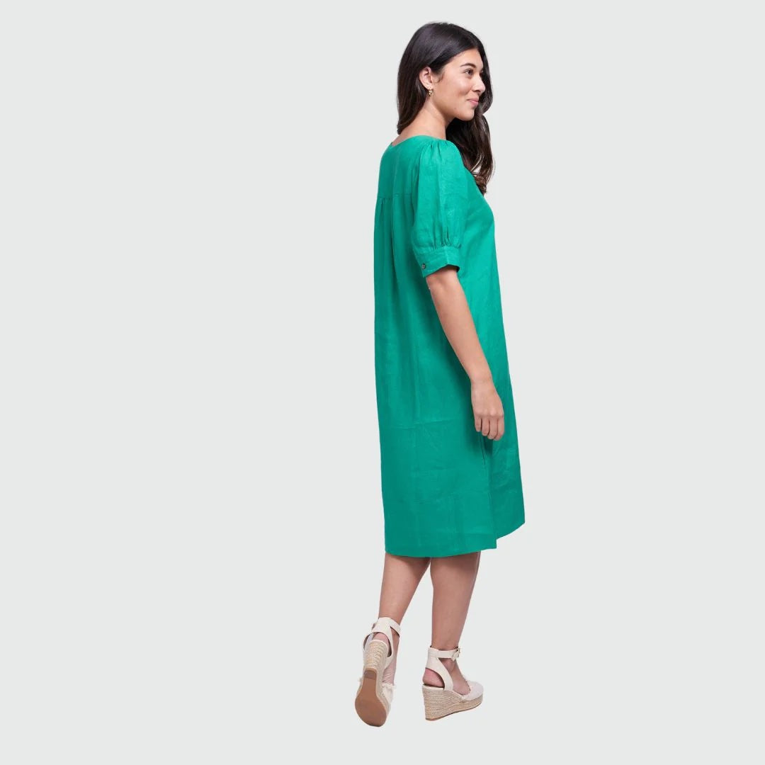 vivid green dress City Chic NWT Vienna Maxi Dress in Vivid Green Size 18