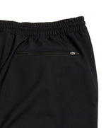 Load image into Gallery viewer, Outerknown - Nomadic Volley Shorts - Black - Back