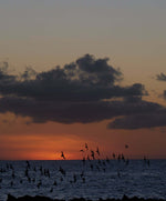 Load image into Gallery viewer, Outerknown-Kelly-Slater-Apex-Trunks-Red_5
